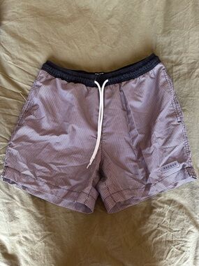 PacSun Navy and White Pinstripe Swim Shorts